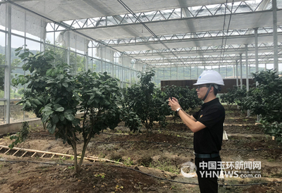 智能農業 告別“看天吃飯”，開啟“智慧動腦”新紀元