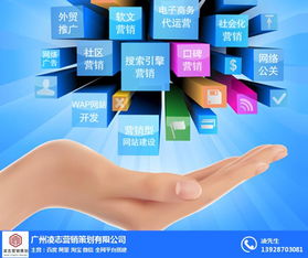 畫(huà)冊(cè)設(shè)計(jì)報(bào)價(jià)與網(wǎng)絡(luò)信息安全軟件開(kāi)發(fā)——凌志營(yíng)銷策劃為您提供專業(yè)服務(wù)